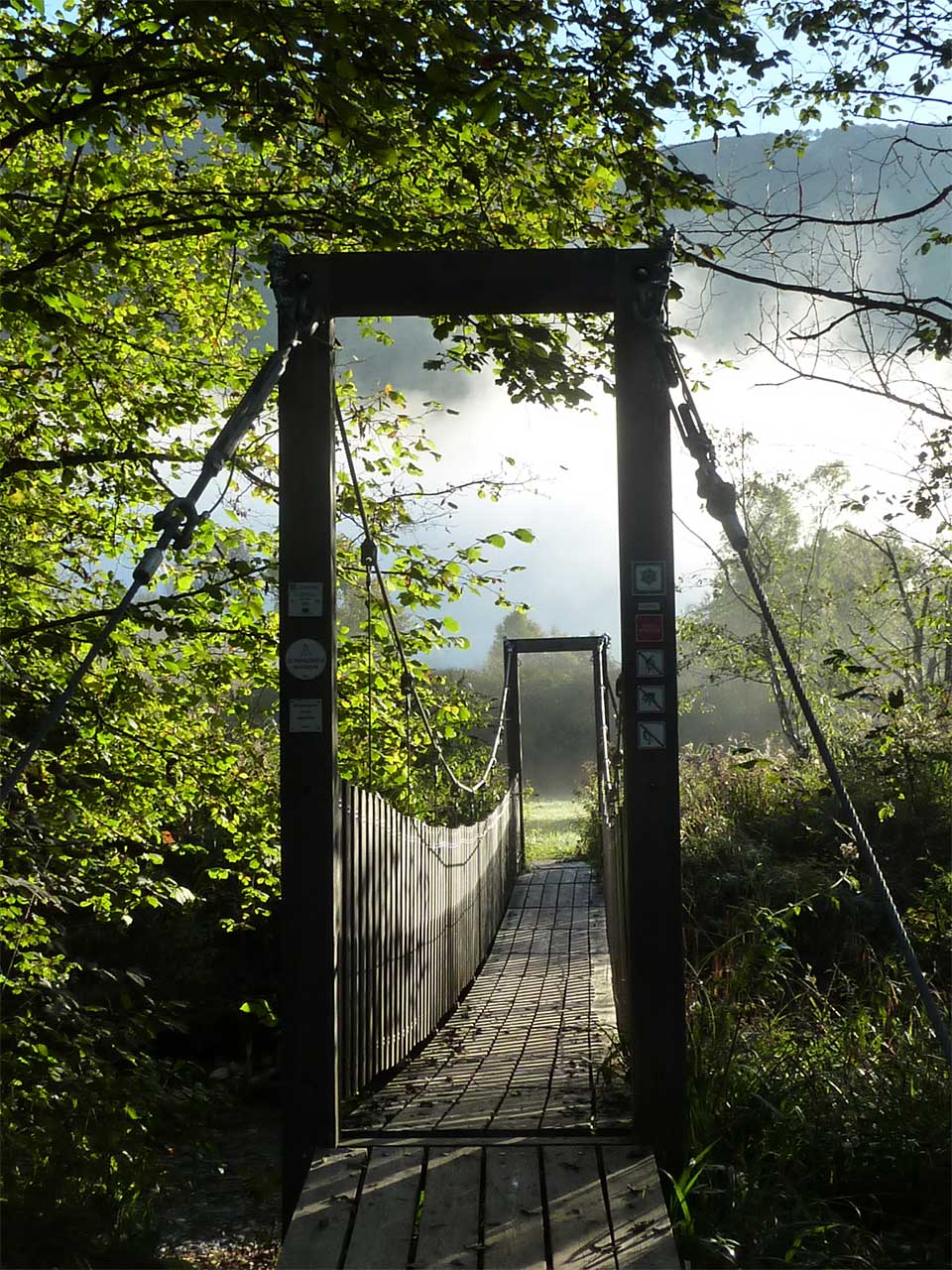 Le pont suspendu