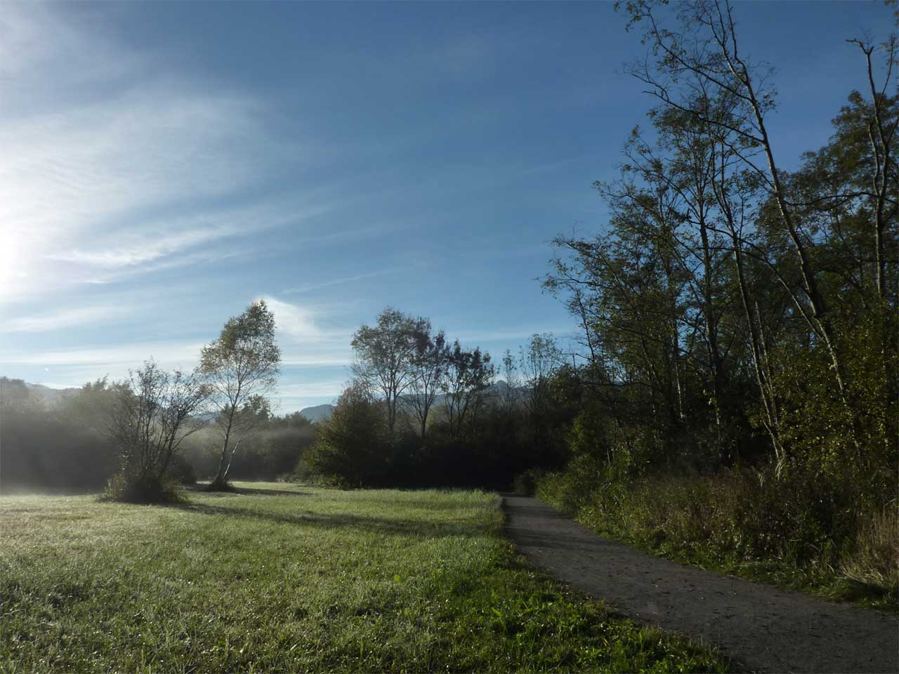 La prairie au matin