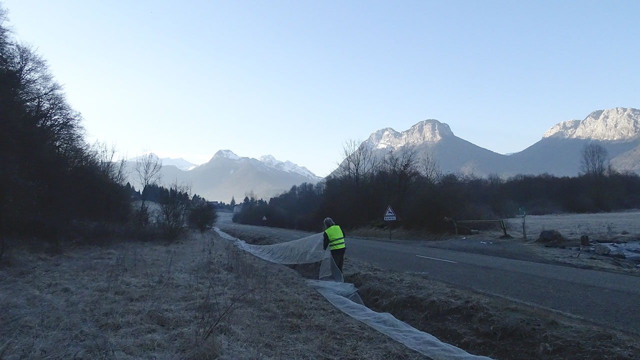 Philip dans la fraîcheur du petit matin