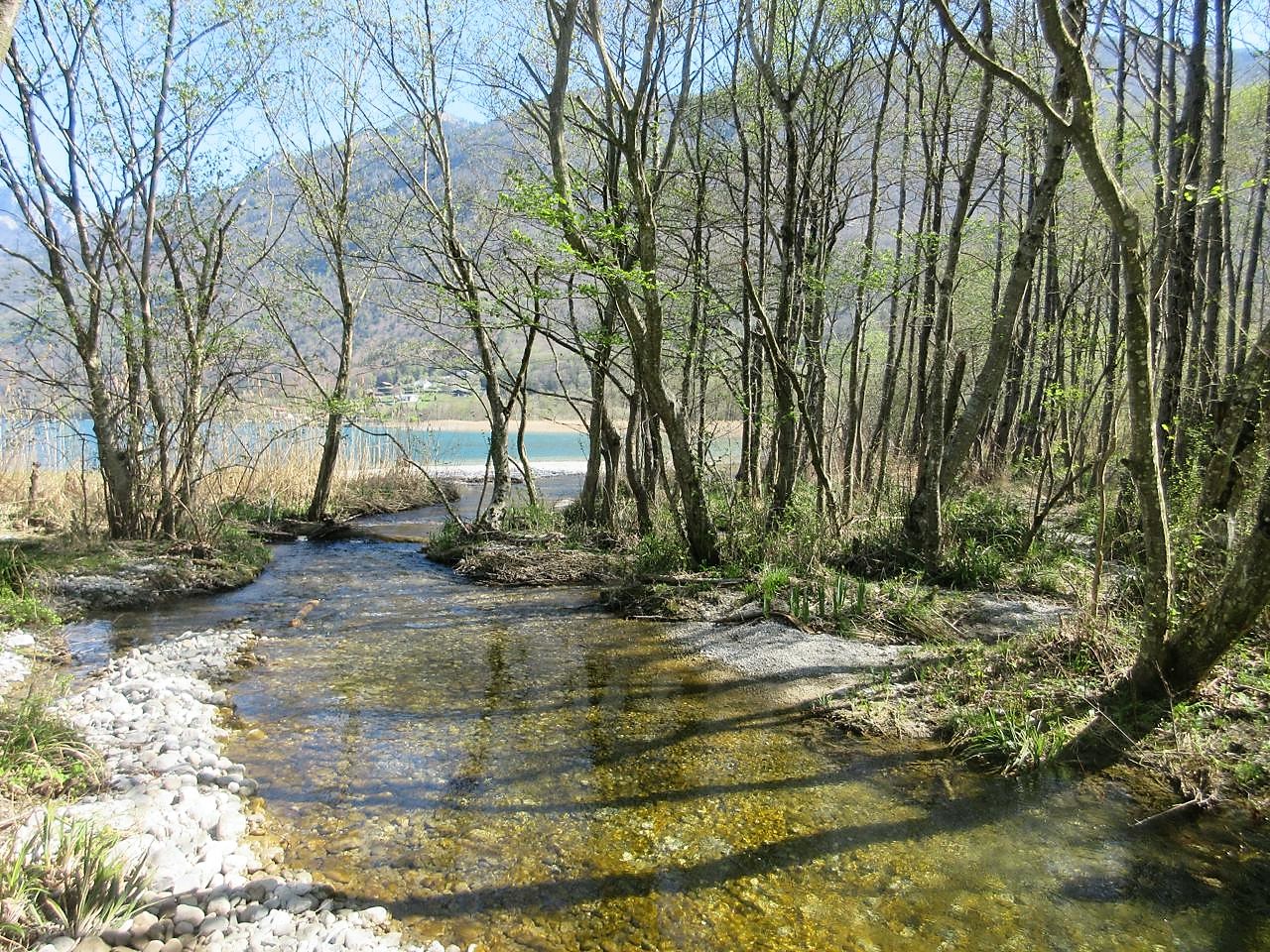 L'Ire à son embouchure sur le lac