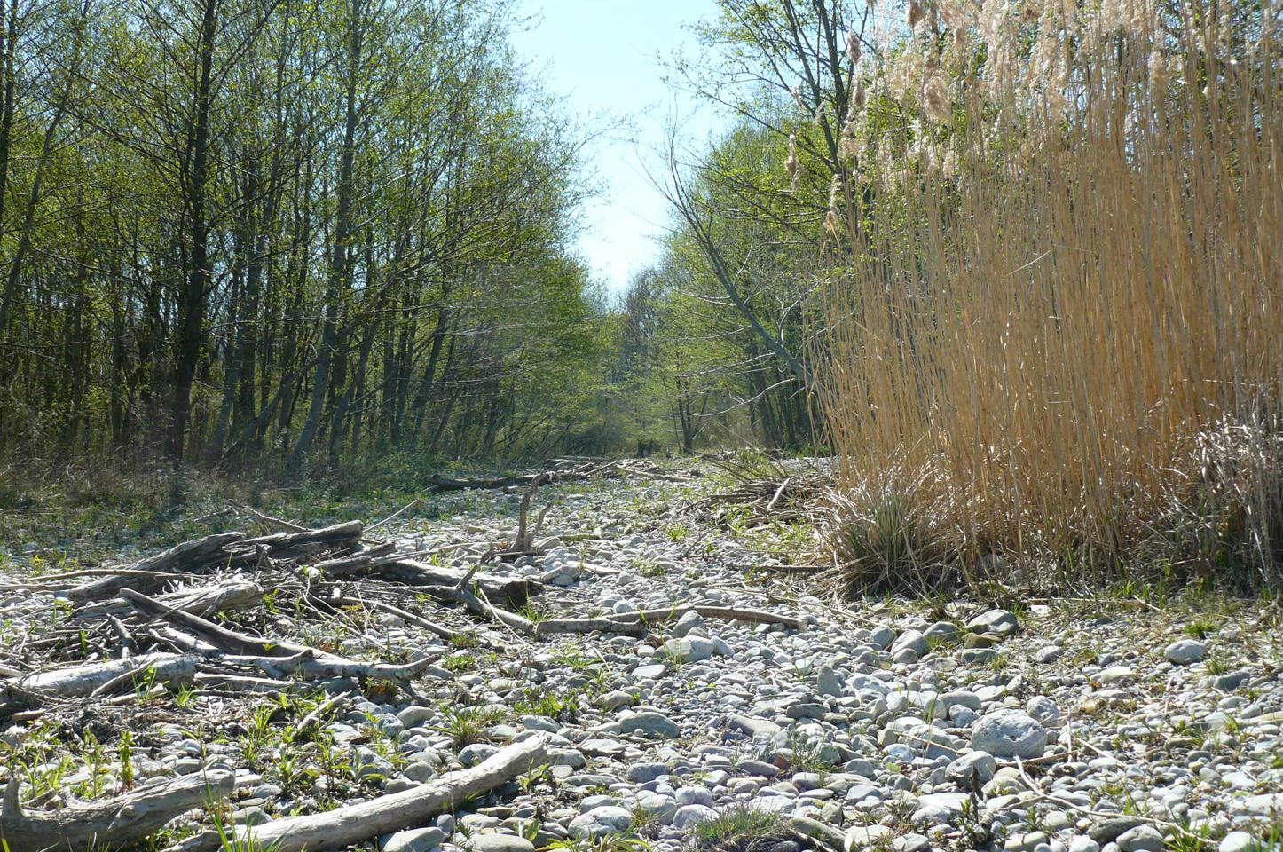 Le lit de la rivière