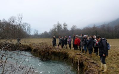 Visite privée en terrain humide