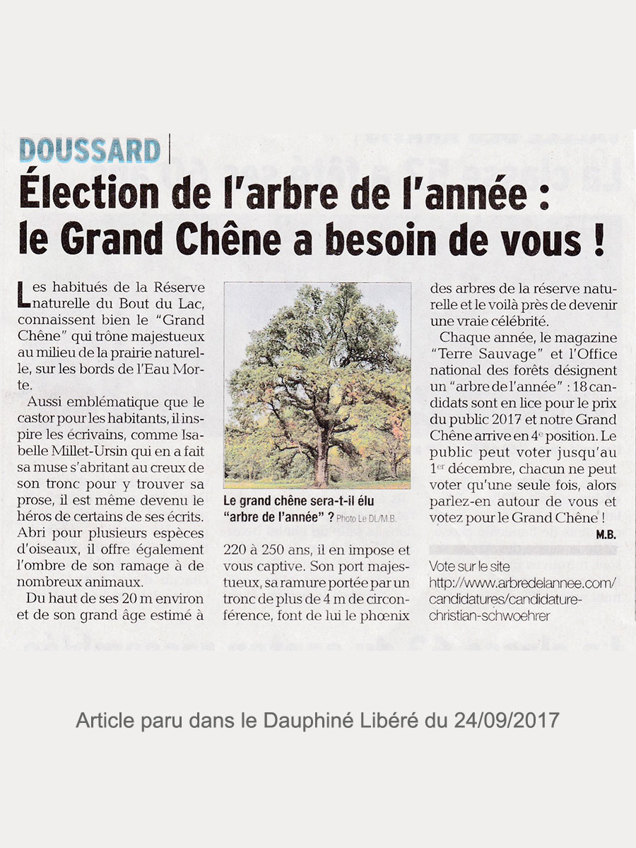 Élection de l'arbre de l'année