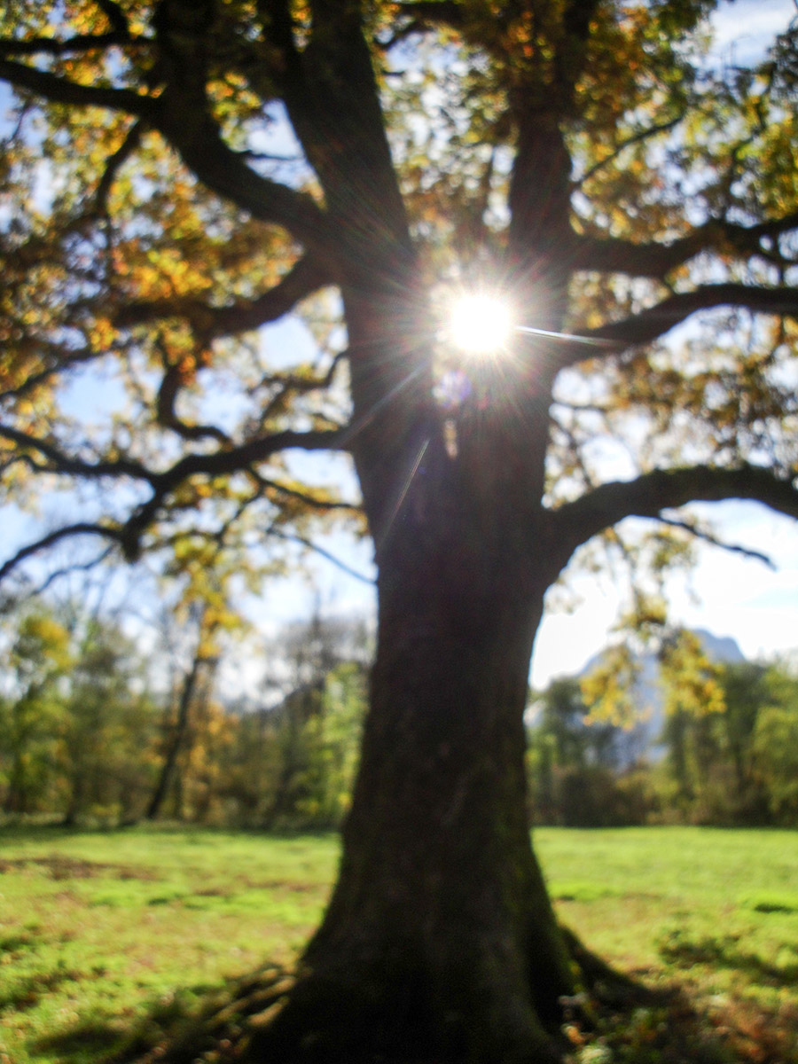 Le soleil au cœur