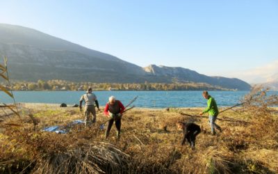 Chantier de réouverture du delta de l’Ire