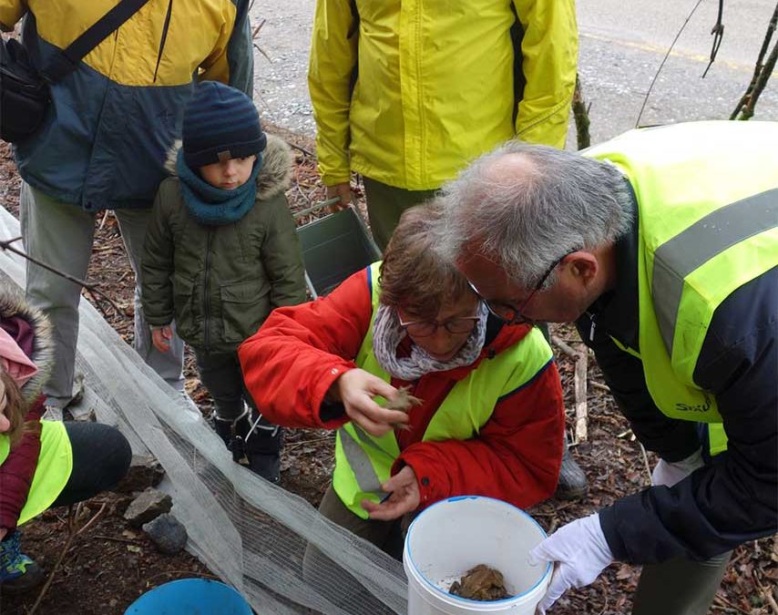 Le 10 000 ème crapaud !