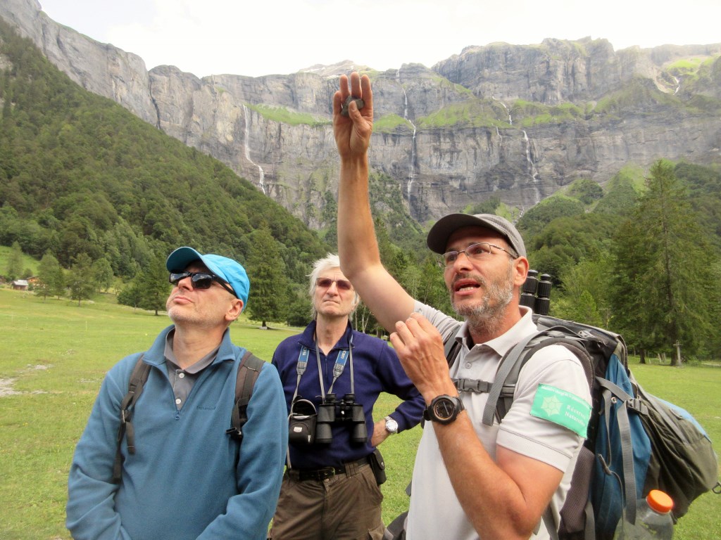 Expert en géologie