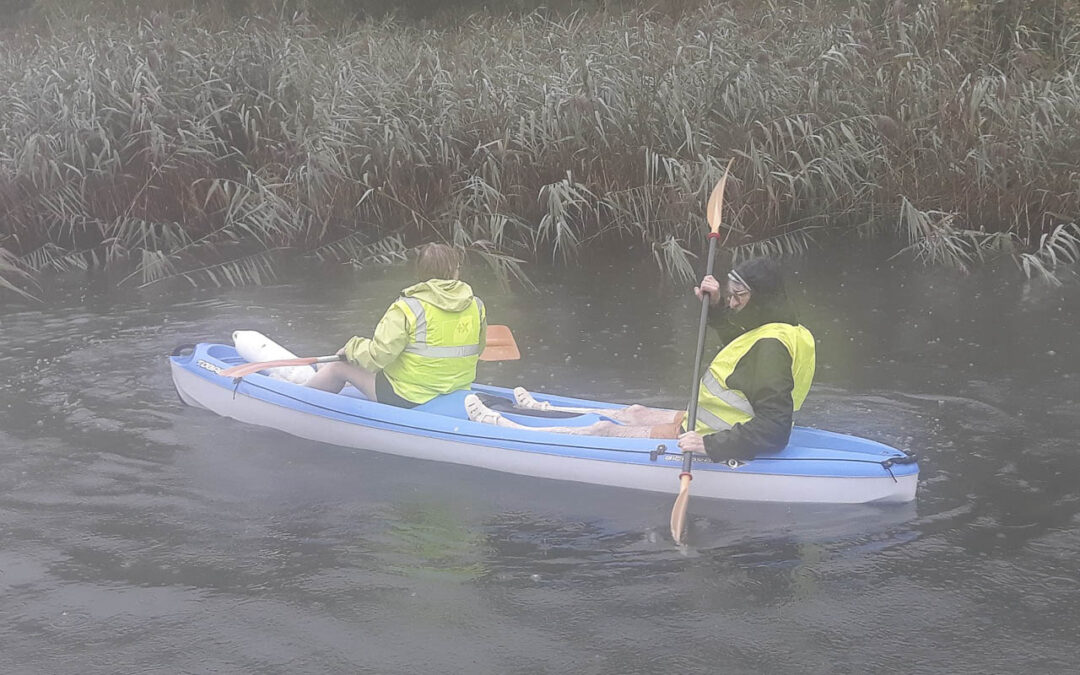 Chantier nettoyage des roselières en kayak