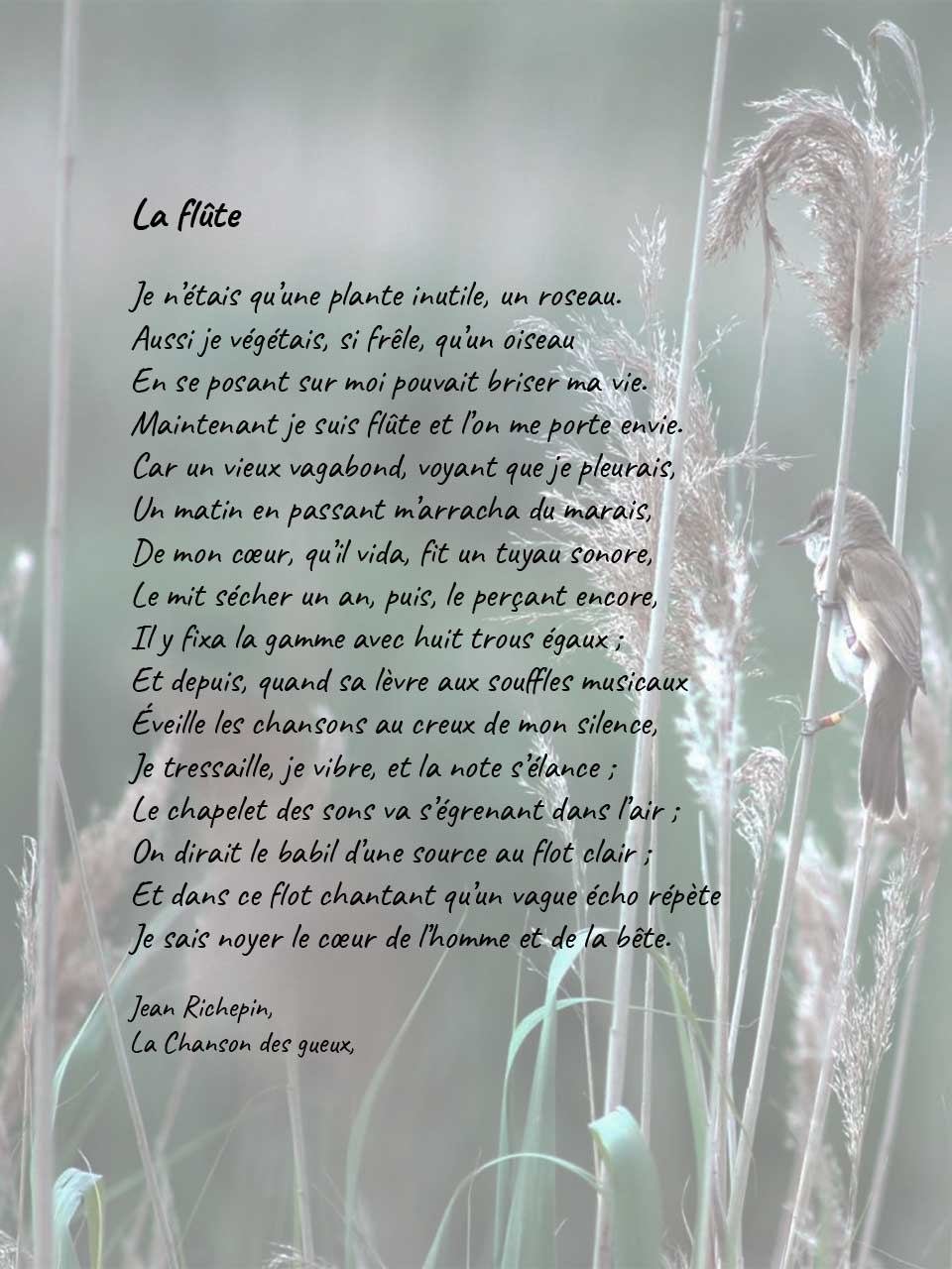 Poème « La flûte » de Jean Richepin