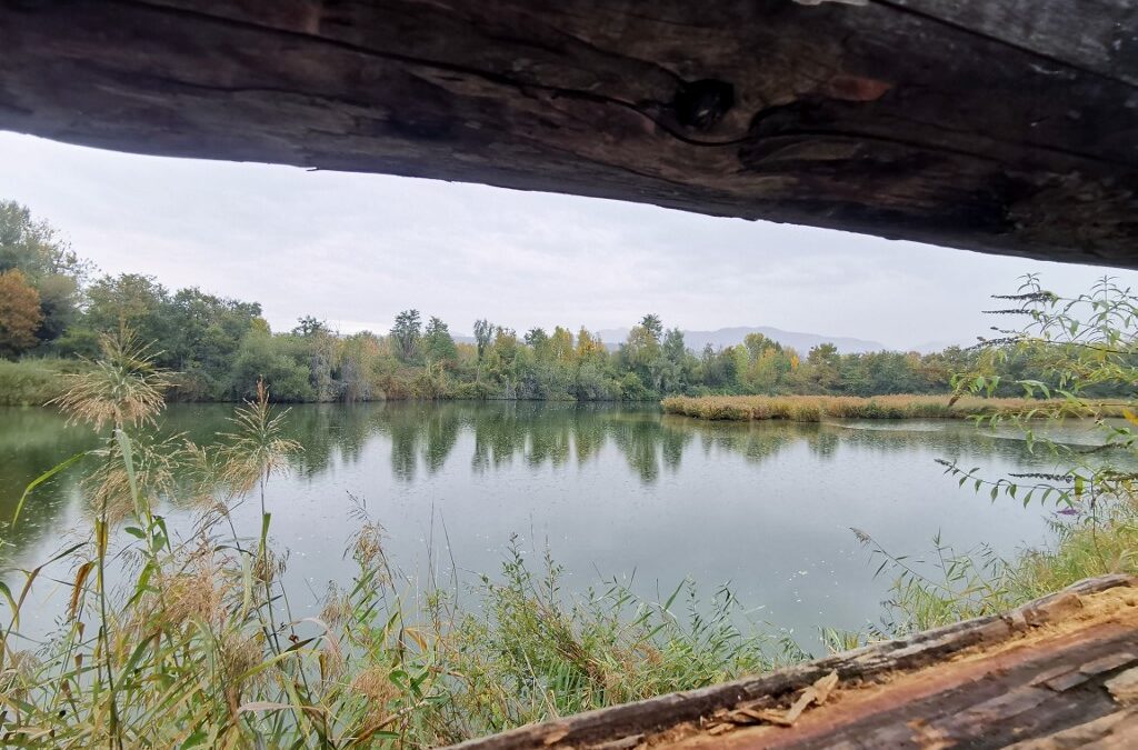 Sortie des Amis à la Réserve naturelle du delta de la Dranse