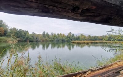 Sortie des Amis à la Réserve naturelle du delta de la Dranse