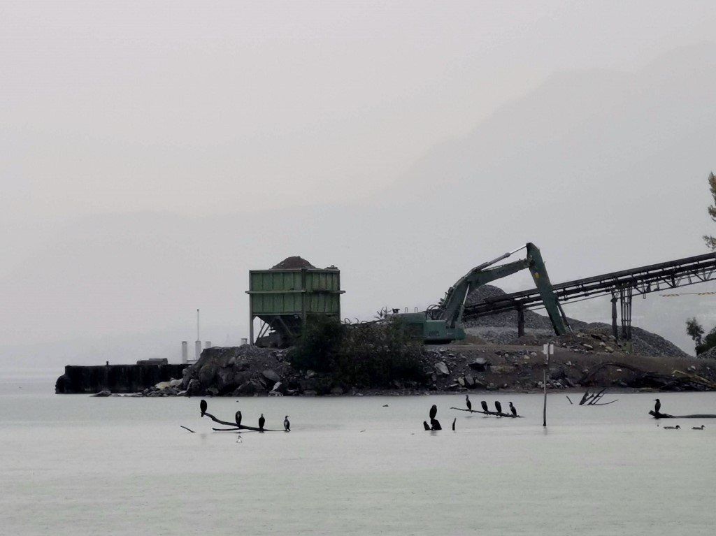 Usine et cormorans