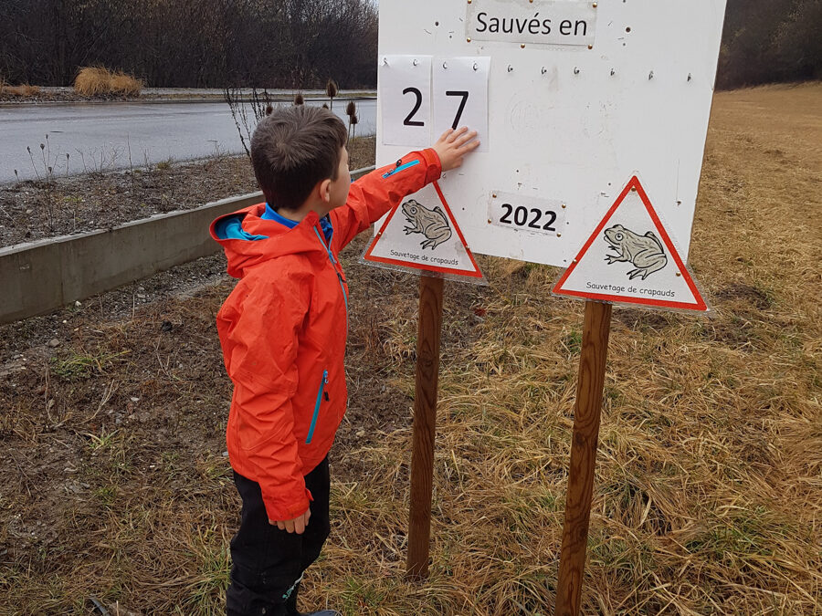 Heureux comme un Ami de la Réserve à la saison de migration des amphibiens !