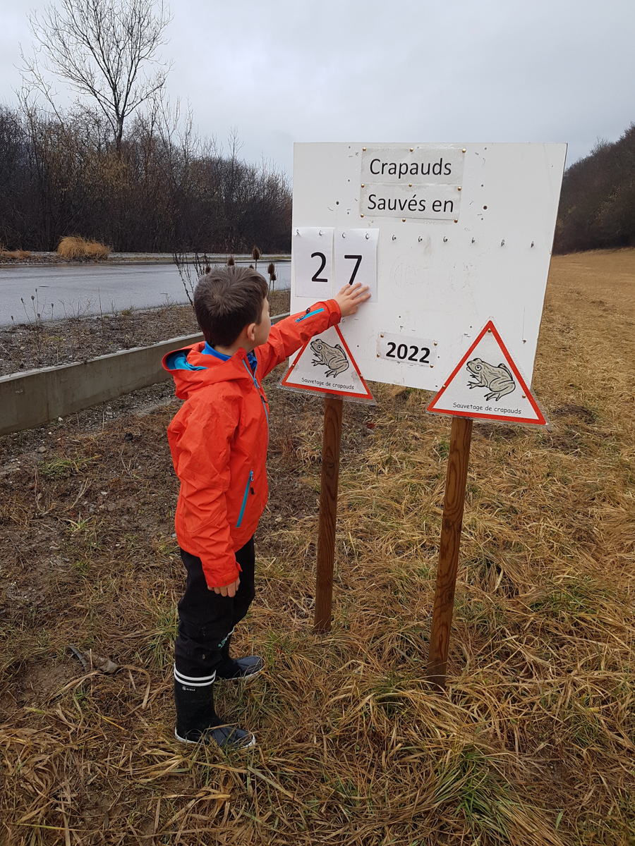 Comptage des crapauds 19/02/2022