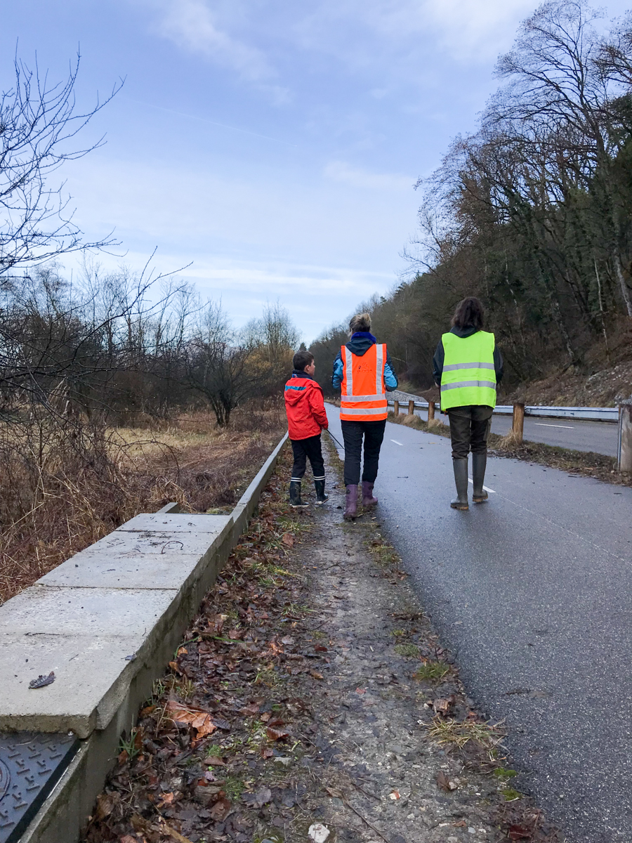 Comptage des crapauds 19/02/2022