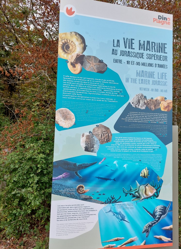 La vie marine au jurassique supérieur