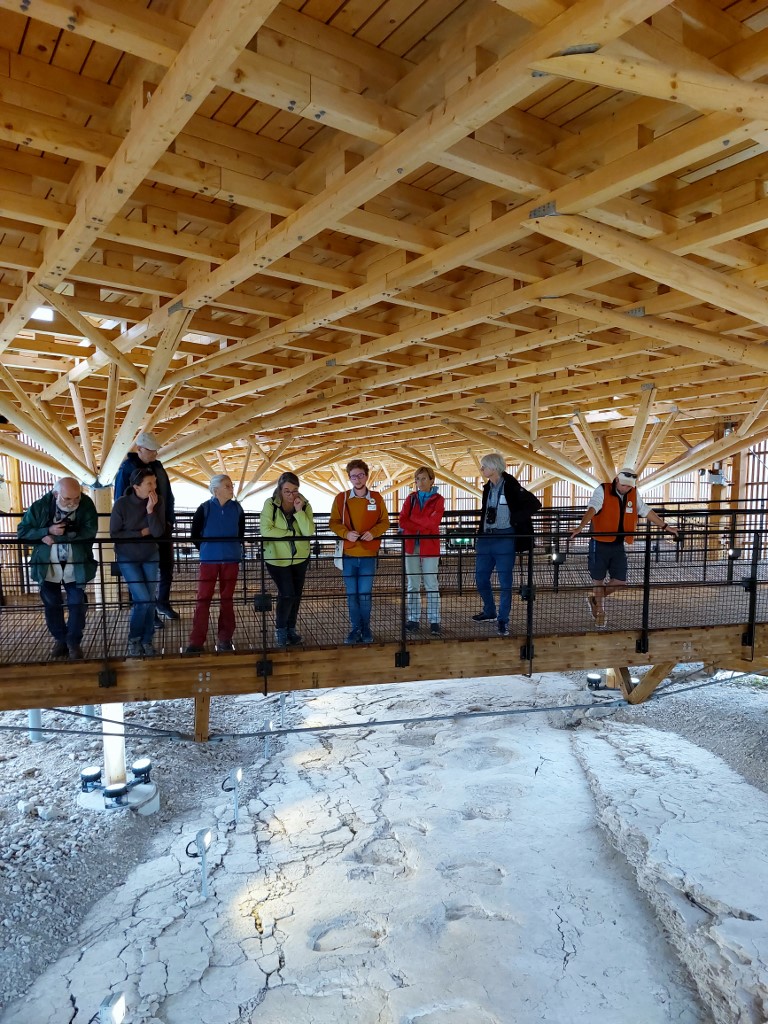 Vue plongeante sur la piste d'empreintes