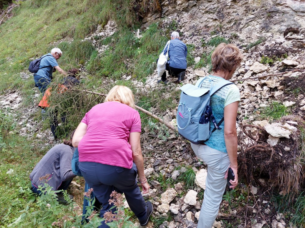 A la recherche de beaux fossiles