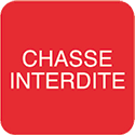 Chasse interdite